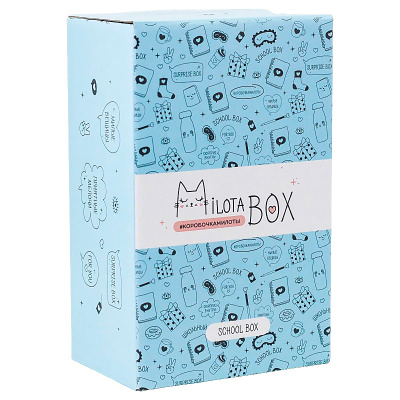Подарочный набор MilotaBox mini School Box iLikeGift MBS019